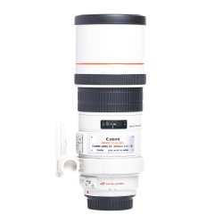 BRUGT | Canon EF 300mm 4