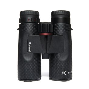 Bushnell Nitro 10x42